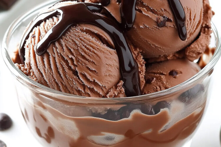 Chocolate Coconut Milk Ice Cream