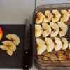 A compact food dehydrator filled with fresh fruit slices on a bright kitchen counter.