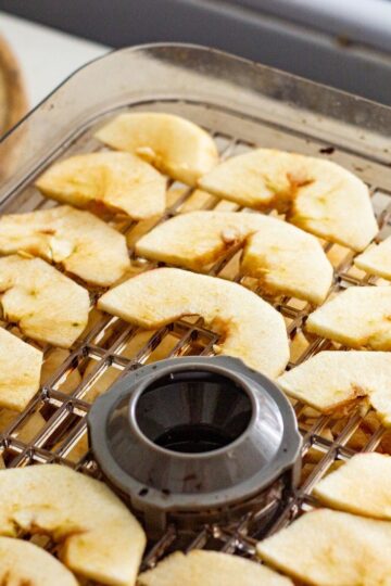 A modern digital food dehydrator filled with dried fruit sits on a kitchen counter.